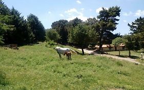 Agriturismo Bosco Pianetti